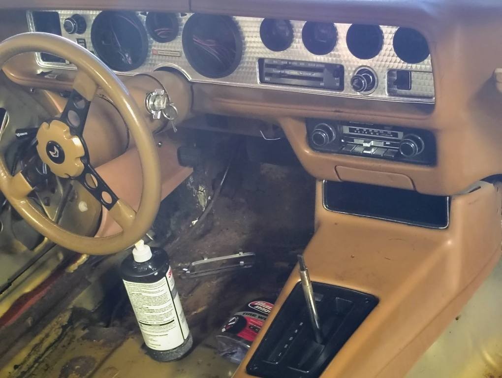 Pontiac-Firebird-1980-TTOP-6