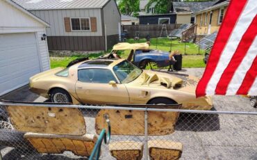 Pontiac-Firebird-1980-TTOP-7