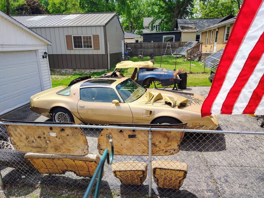 Pontiac-Firebird-1980-TTOP-7