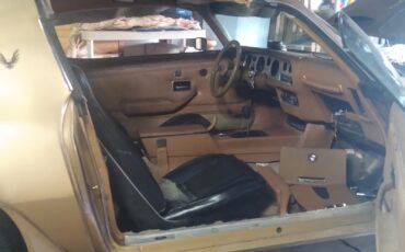 Pontiac-Firebird-1980-TTOP-8