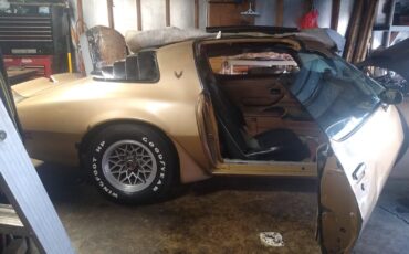 Pontiac-Firebird-1980-TTOP-9