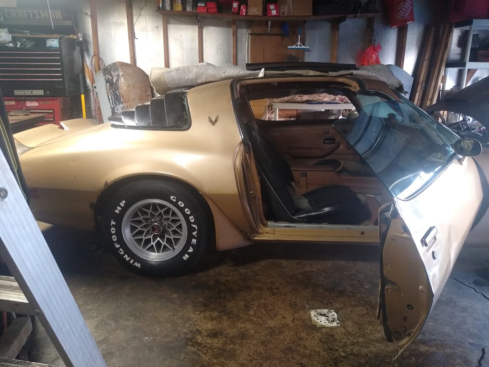 Pontiac-Firebird-1980-TTOP-9