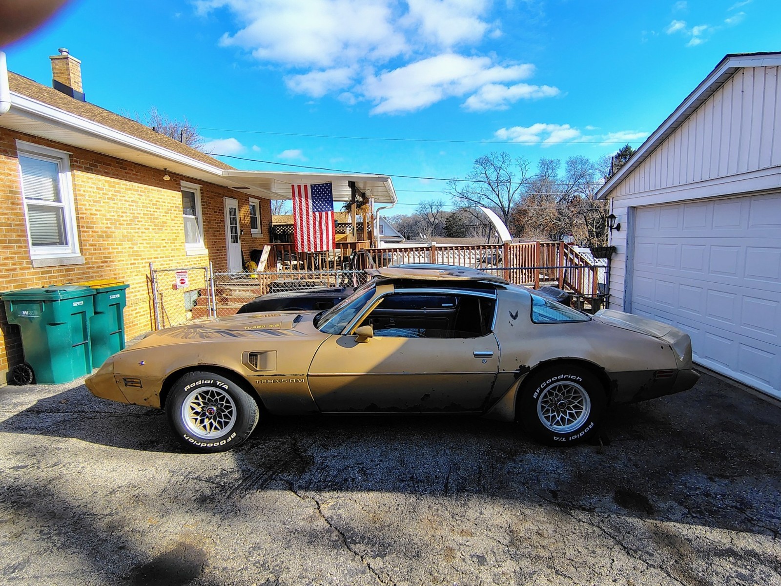 Pontiac Firebird 1980 TTOP