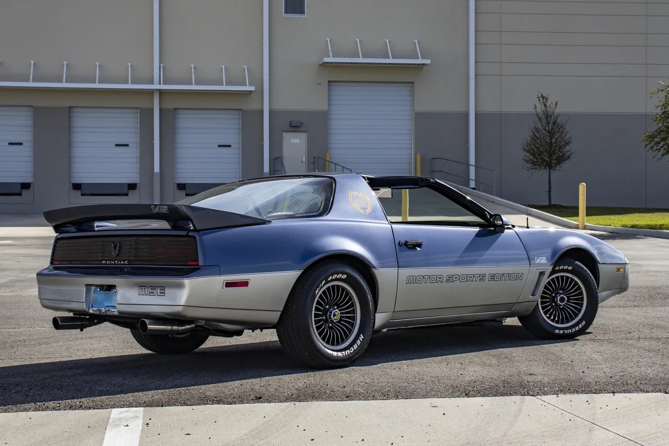 Pontiac-Firebird-1983-Blue-amp-Silver-W-Blue-amp-Black-11