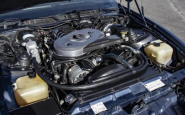 Pontiac-Firebird-1983-Blue-amp-Silver-W-Blue-amp-Black-12