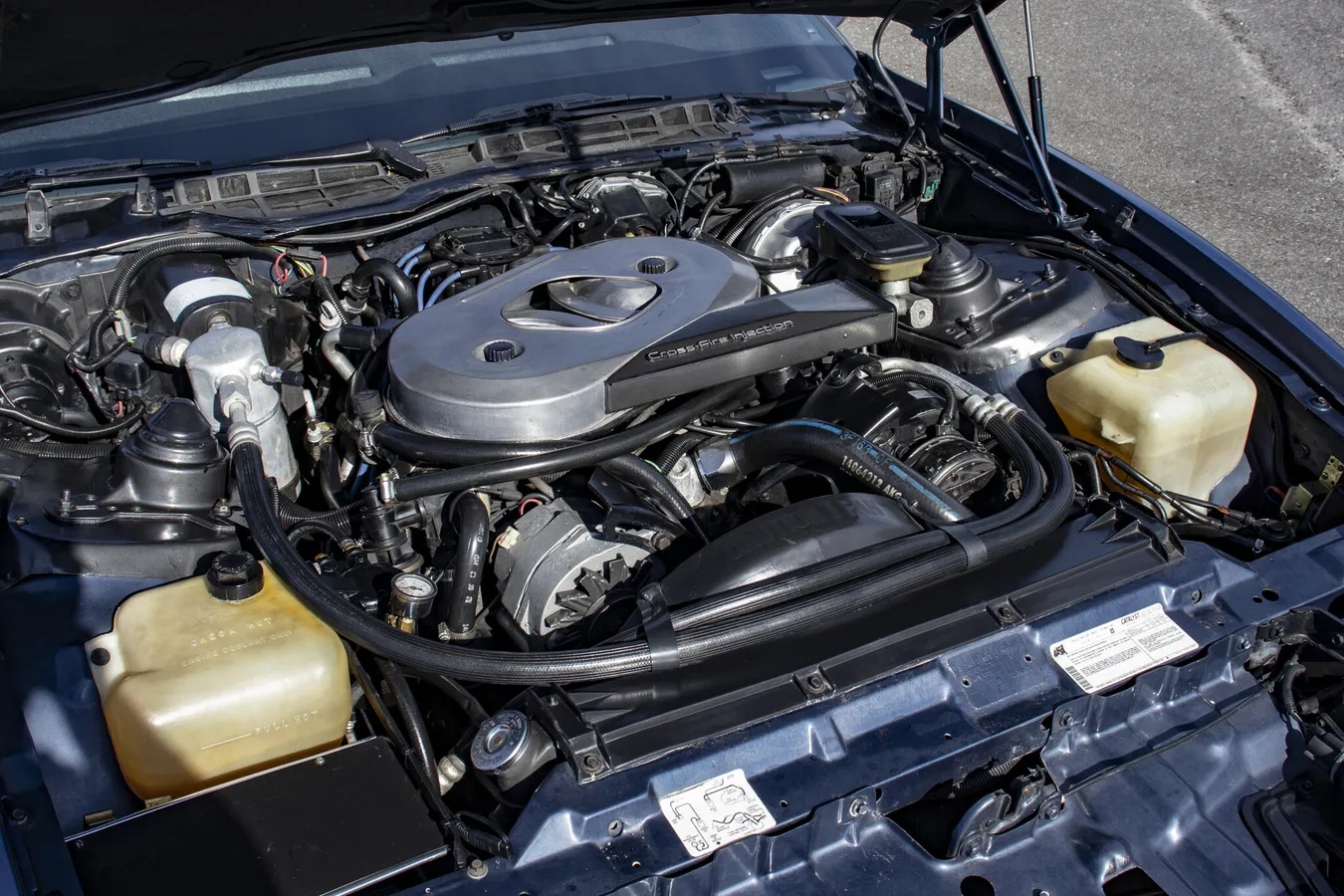 Pontiac-Firebird-1983-Blue-amp-Silver-W-Blue-amp-Black-12