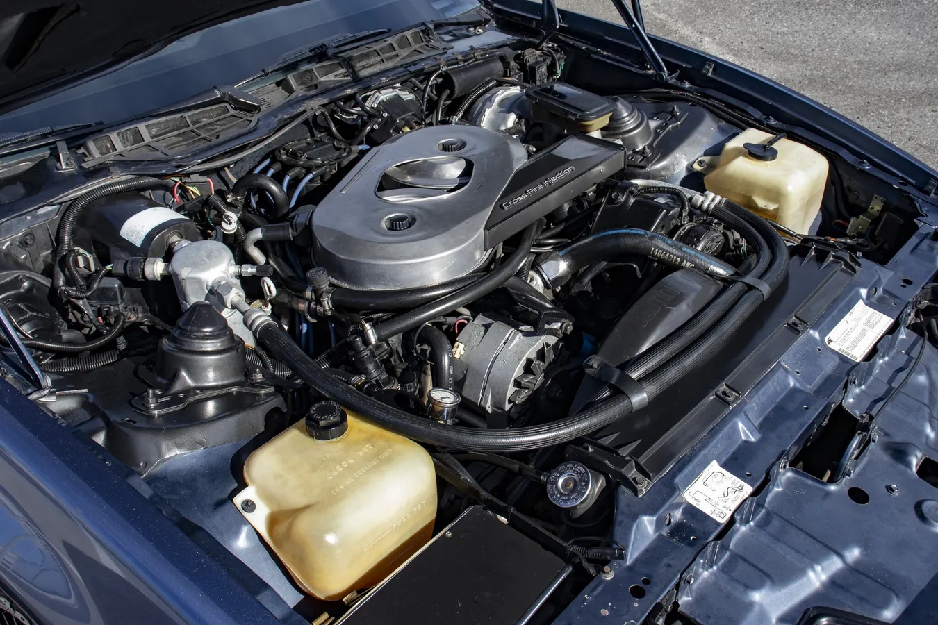 Pontiac-Firebird-1983-Blue-amp-Silver-W-Blue-amp-Black-13