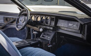 Pontiac-Firebird-1983-Blue-amp-Silver-W-Blue-amp-Black-16