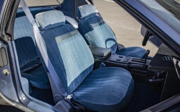 Pontiac-Firebird-1983-Blue-amp-Silver-W-Blue-amp-Black-17