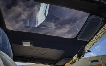 Pontiac-Firebird-1983-Blue-amp-Silver-W-Blue-amp-Black-18