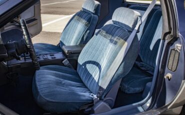 Pontiac-Firebird-1983-Blue-amp-Silver-W-Blue-amp-Black-19
