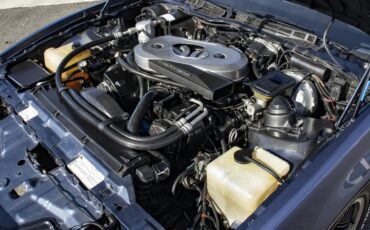 Pontiac-Firebird-1983-Blue-amp-Silver-W-Blue-amp-Black