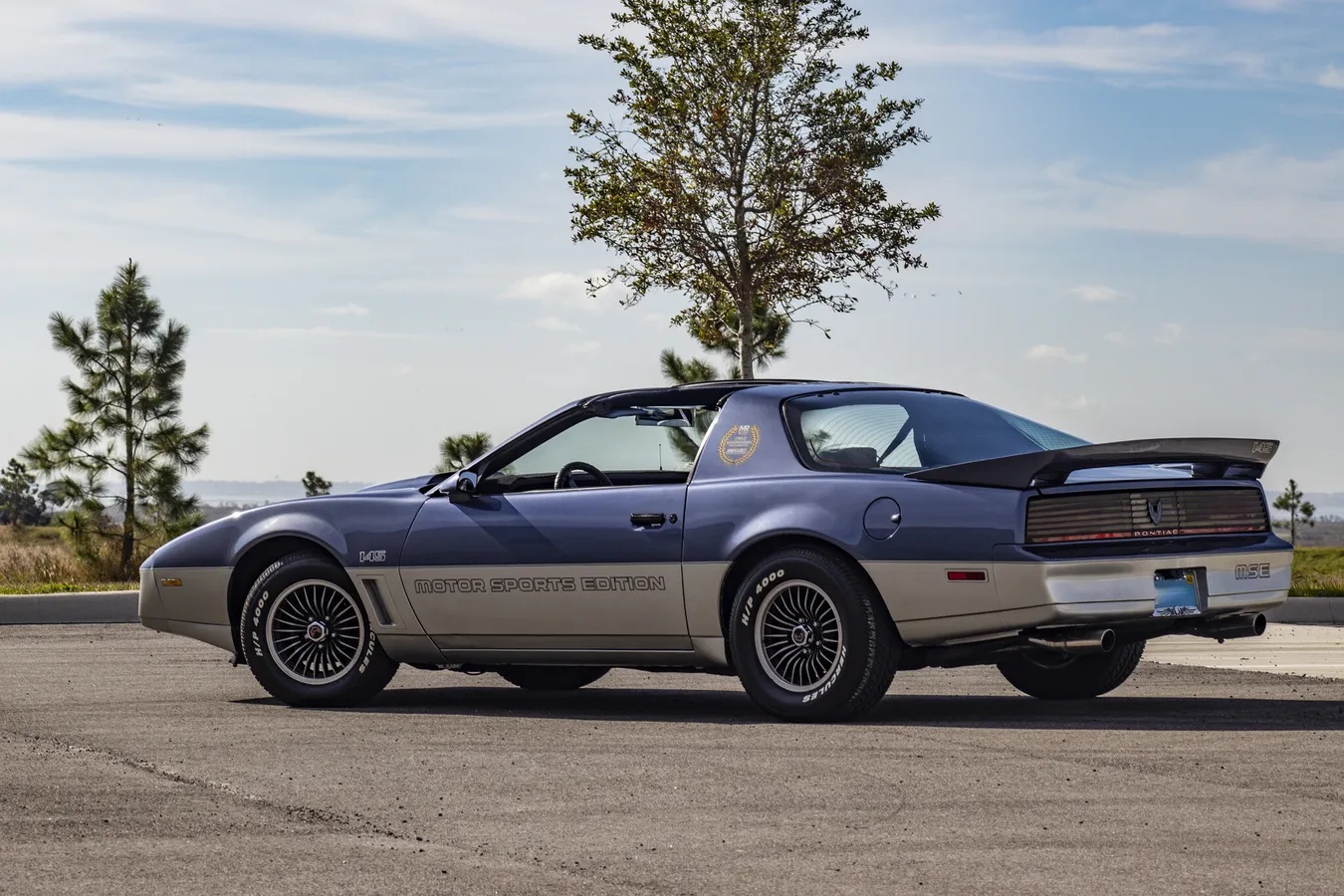 Pontiac-Firebird-1983-Blue-amp-Silver-W-Blue-amp-Black-5