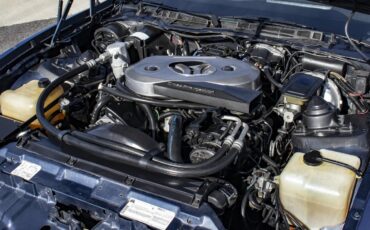 Pontiac-Firebird-1983-Blue-amp-Silver-W-Blue-amp-Black-6