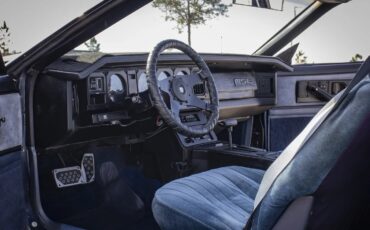 Pontiac-Firebird-1983-Blue-amp-Silver-W-Blue-amp-Black-7