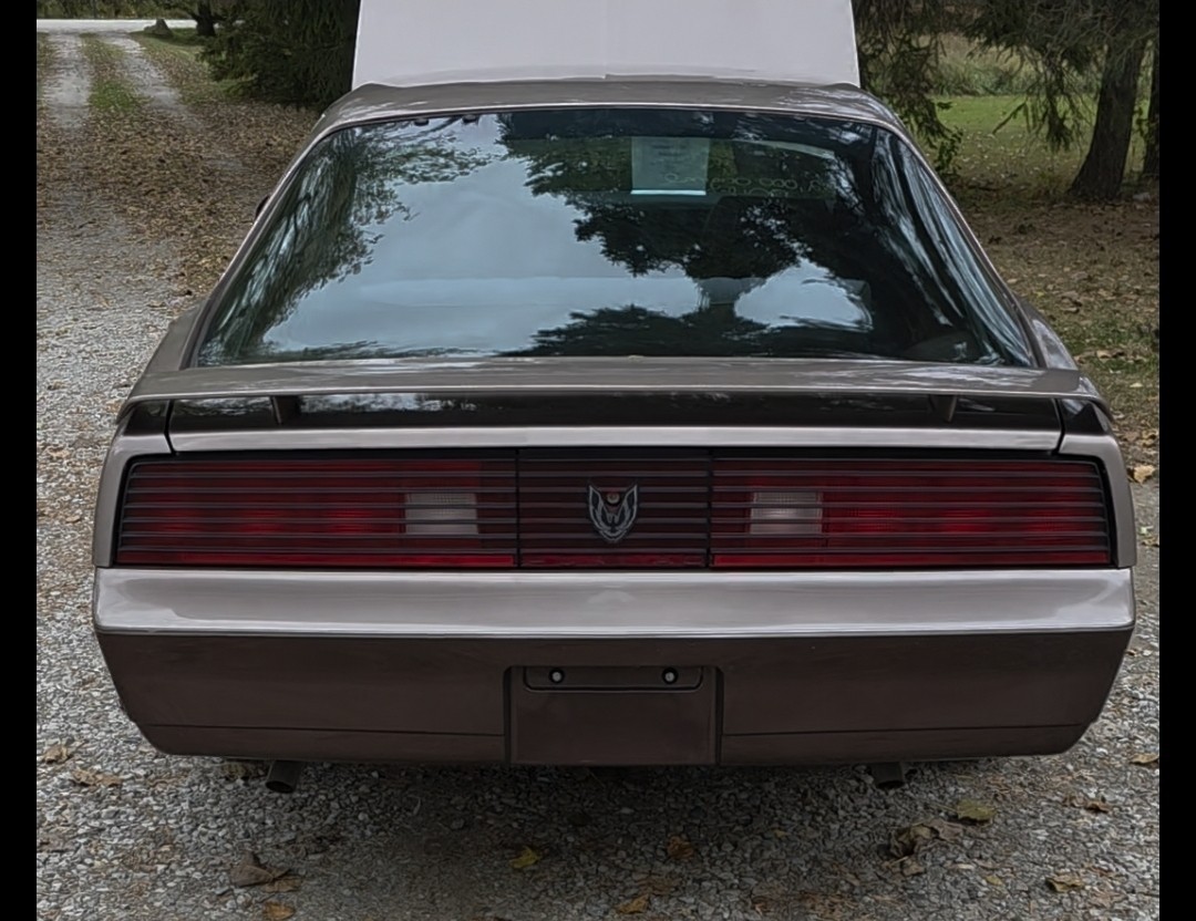 Pontiac-Firebird-1984-Coupe-1