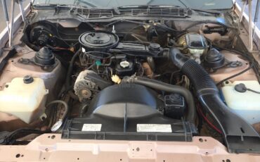 Pontiac-Firebird-1984-Coupe-13