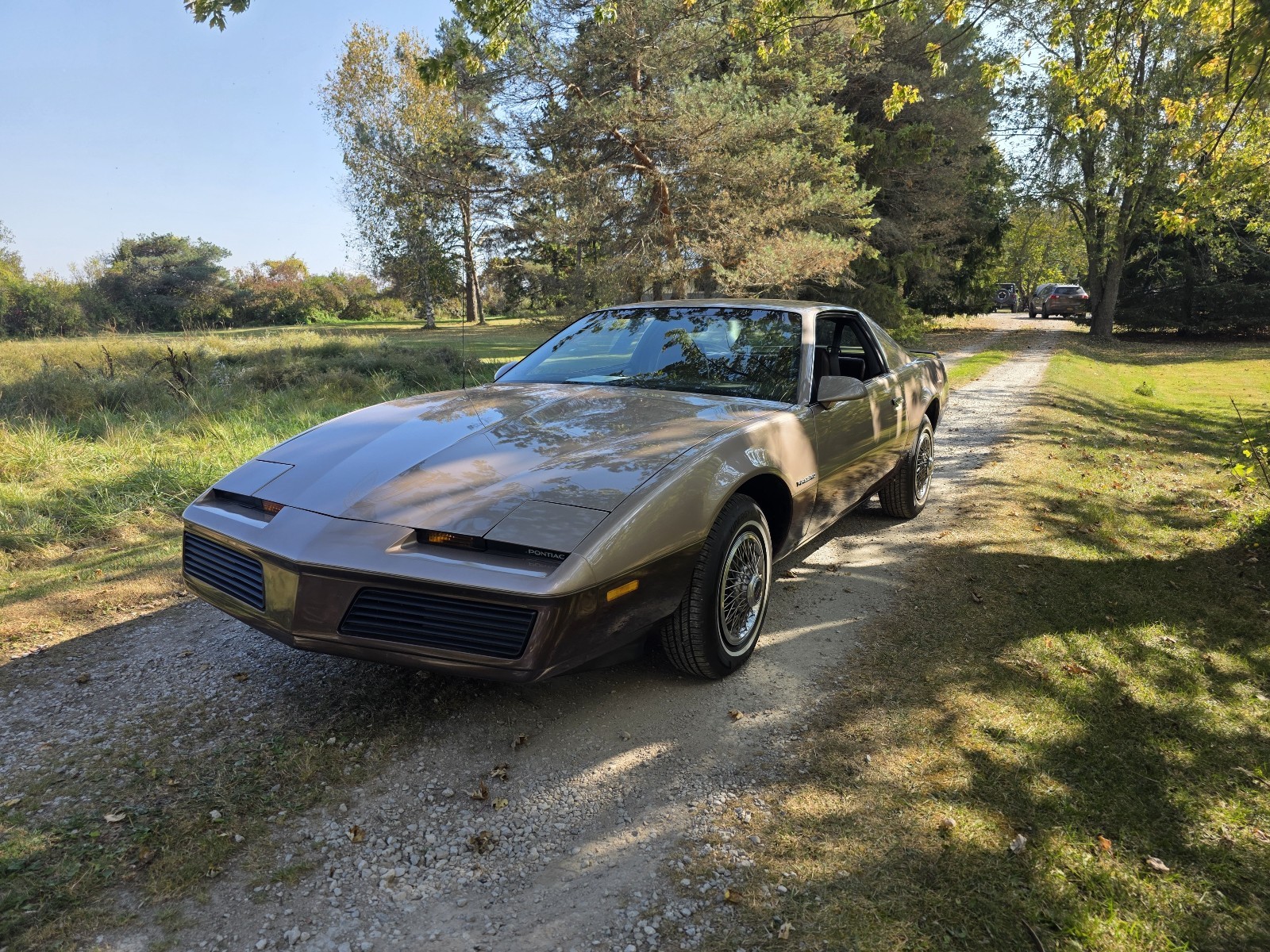 Pontiac Firebird 1984 Coupe