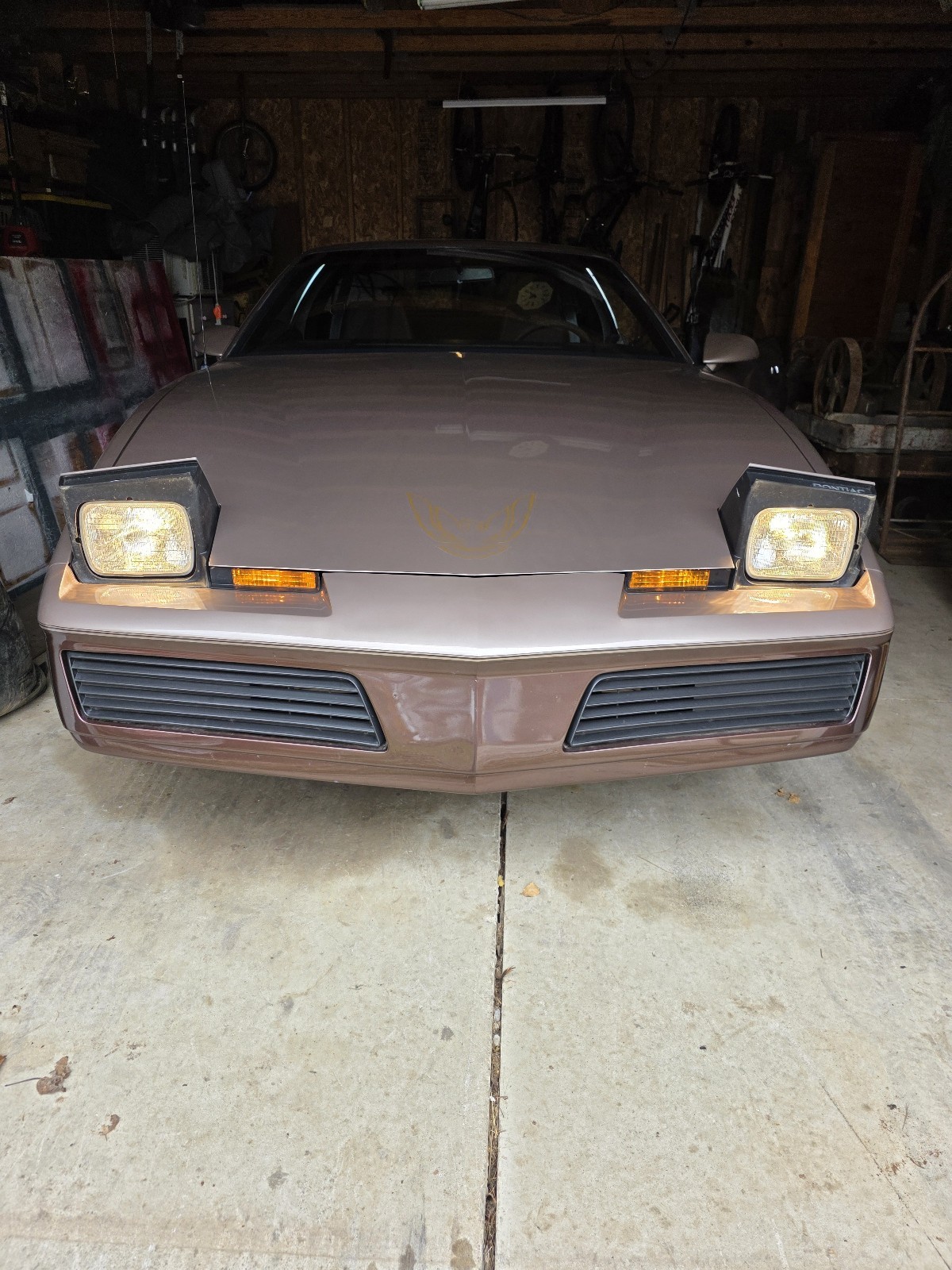 Pontiac-Firebird-1984-Coupe-2