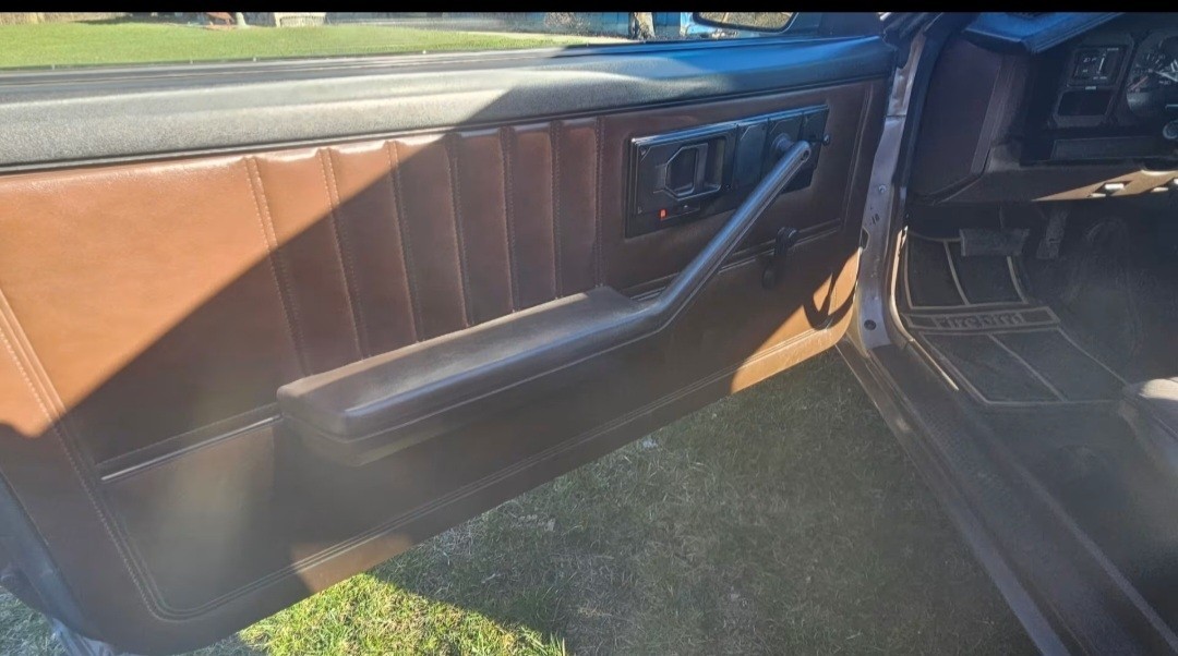 Pontiac-Firebird-1984-Coupe-5