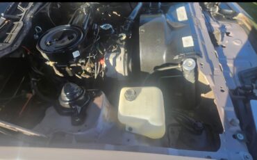 Pontiac-Firebird-1984-Coupe-7