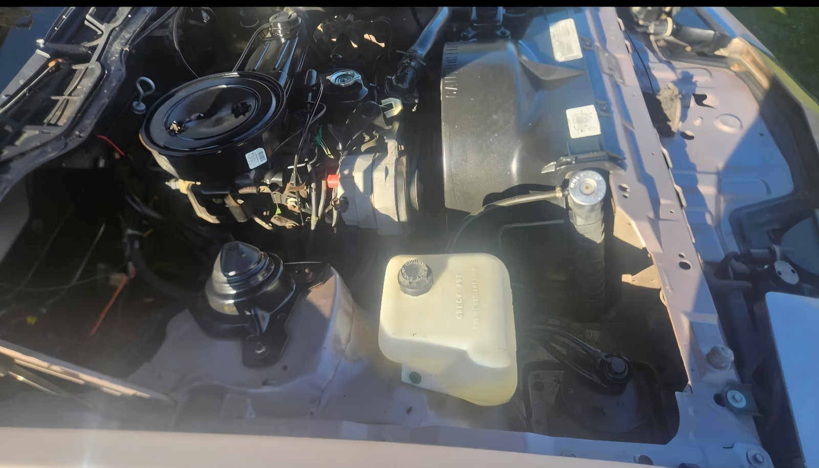 Pontiac-Firebird-1984-Coupe-7