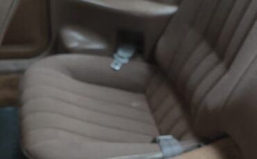 Pontiac-Firebird-1984-Coupe-9