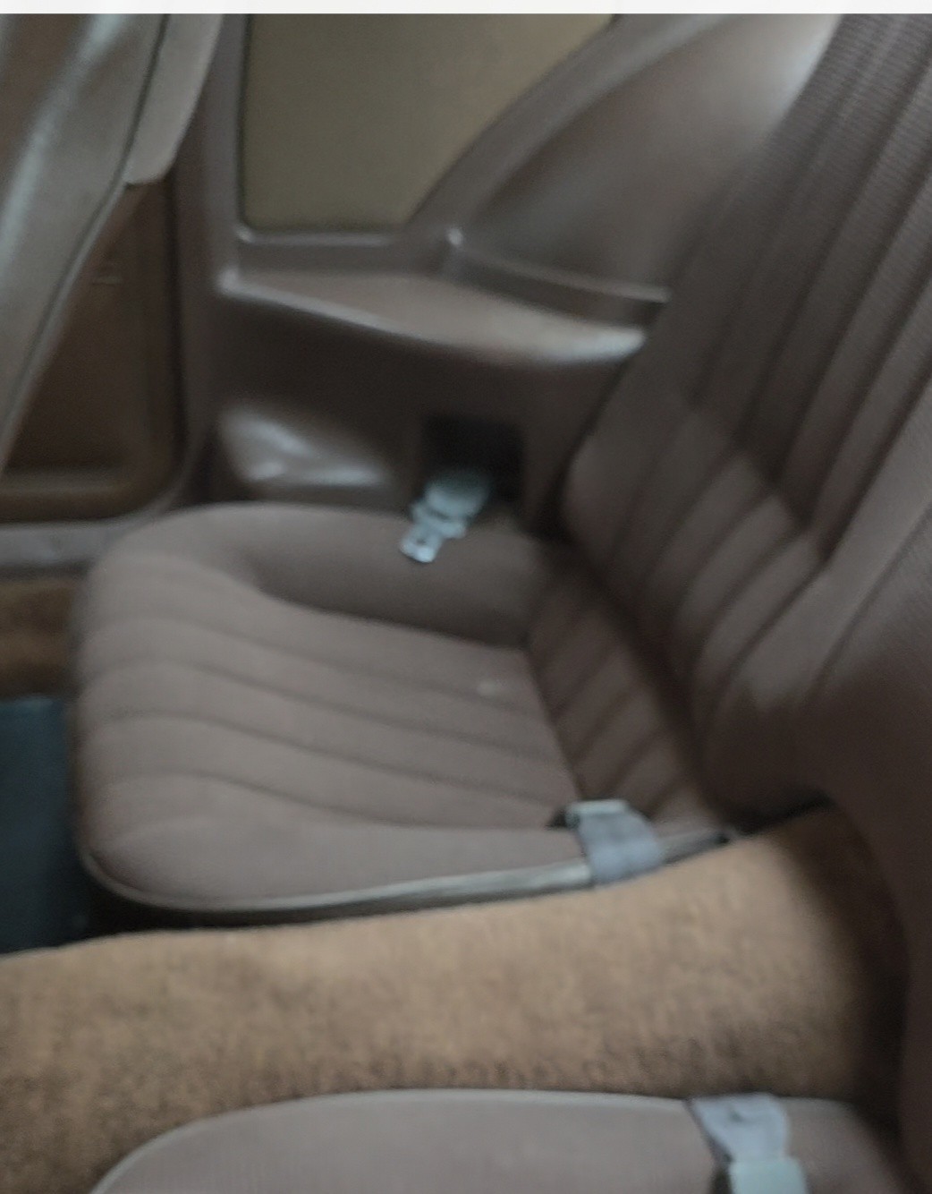 Pontiac-Firebird-1984-Coupe-9