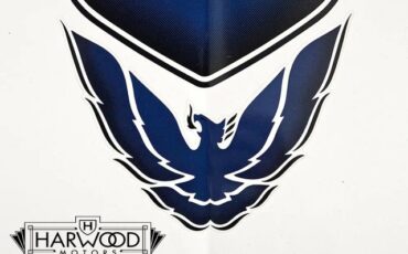 Pontiac-Firebird-1994-Convertible-20