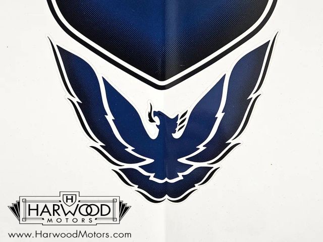 Pontiac-Firebird-1994-Convertible-20