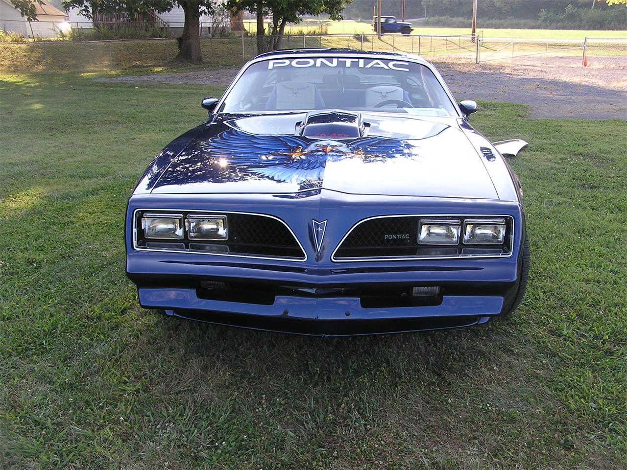 Pontiac-Firebird-trans-am-1974-Admiralty-Blue-Gray-4