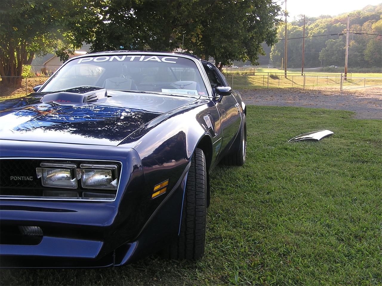 Pontiac-Firebird-trans-am-1974-Admiralty-Blue-Gray-5