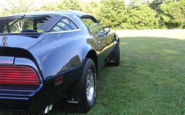 Pontiac-Firebird-trans-am-1974-Admiralty-Blue-Gray-6