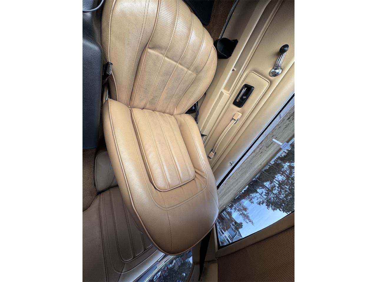 Pontiac-Firebird-trans-am-1976-Black-Tan-10