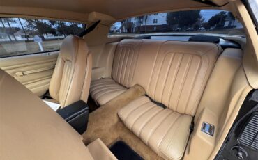 Pontiac-Firebird-trans-am-1976-Black-Tan-13