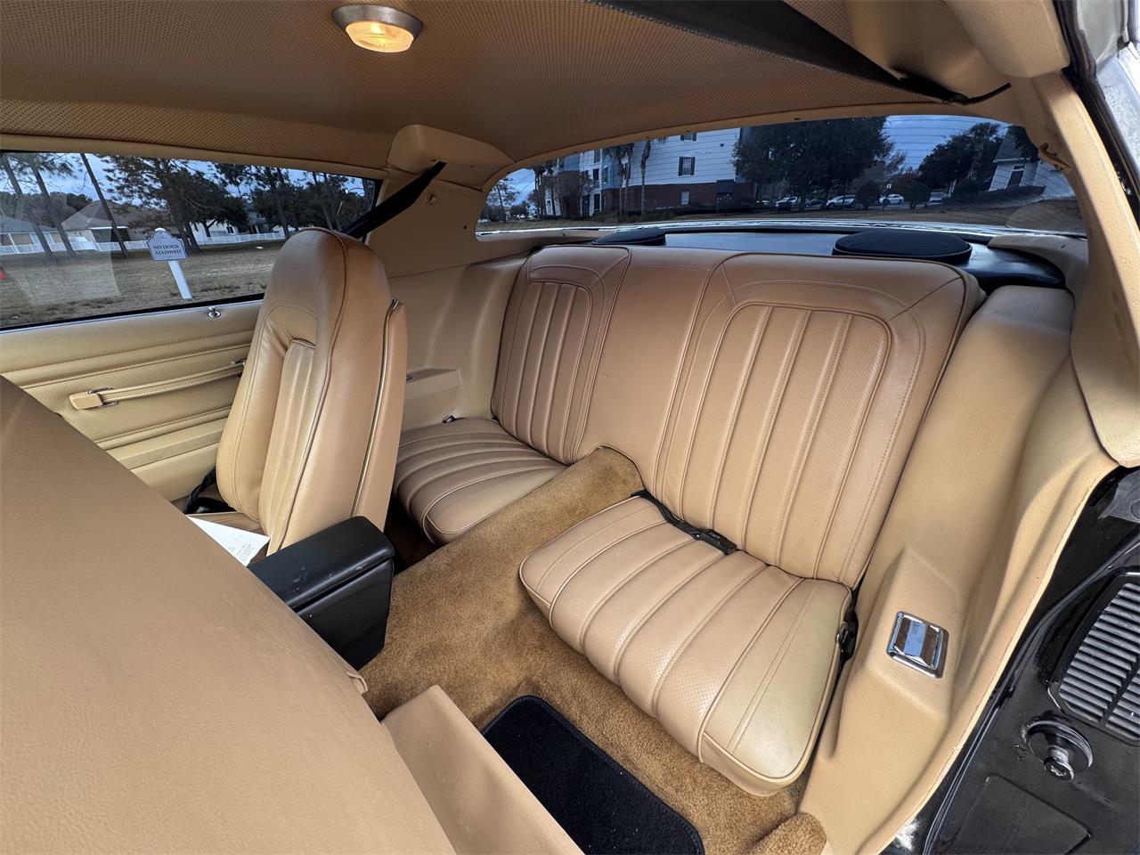 Pontiac-Firebird-trans-am-1976-Black-Tan-13