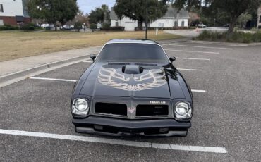 Pontiac-Firebird-trans-am-1976-Black-Tan