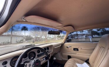 Pontiac-Firebird-trans-am-1976-Black-Tan-7