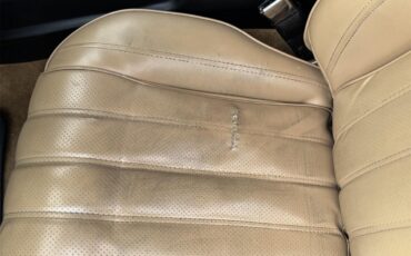 Pontiac-Firebird-trans-am-1976-Black-Tan-8