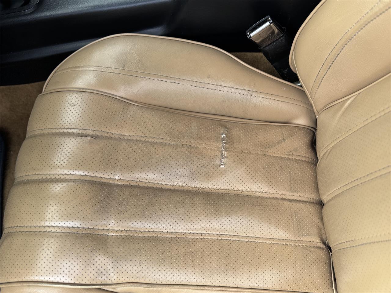 Pontiac-Firebird-trans-am-1976-Black-Tan-8