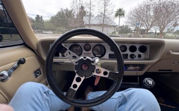 Pontiac-Firebird-trans-am-1976-Black-Tan-9
