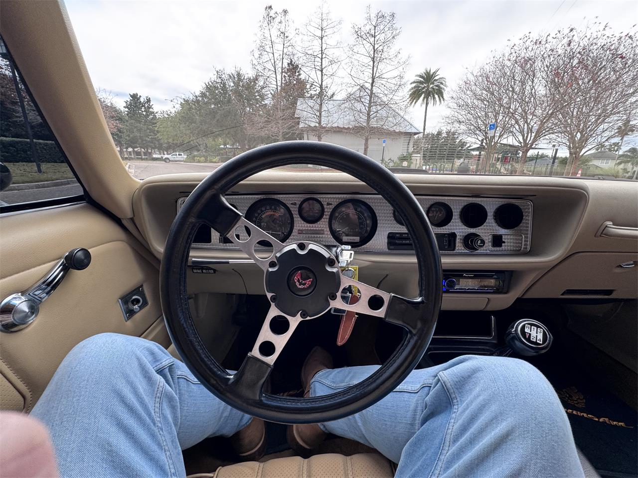 Pontiac-Firebird-trans-am-1976-Black-Tan-9