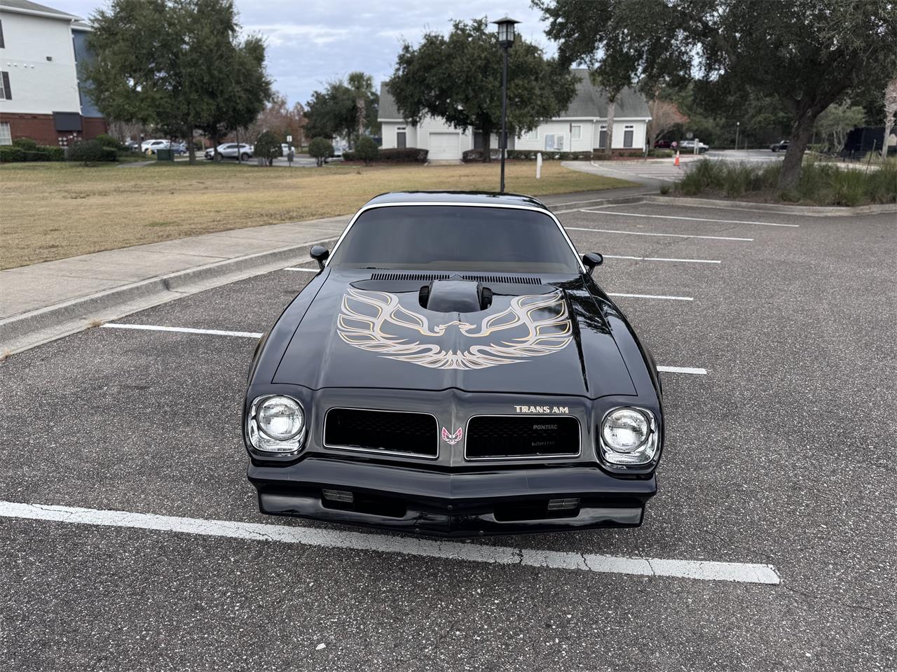 Pontiac-Firebird-trans-am-1976-Black-Tan