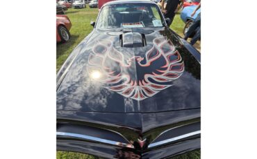 Pontiac-Firebird-trans-am-1977-Black-Black-1