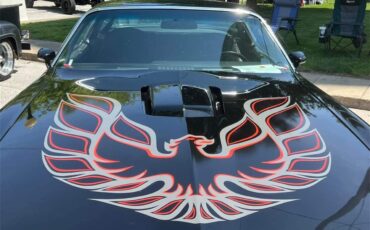 Pontiac-Firebird-trans-am-1977-Black-Black-2