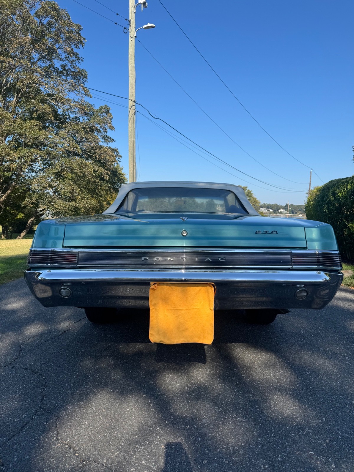 Pontiac-GTO-1965-Convertible-2