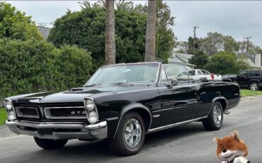Pontiac-GTO-1965-Convertible-23