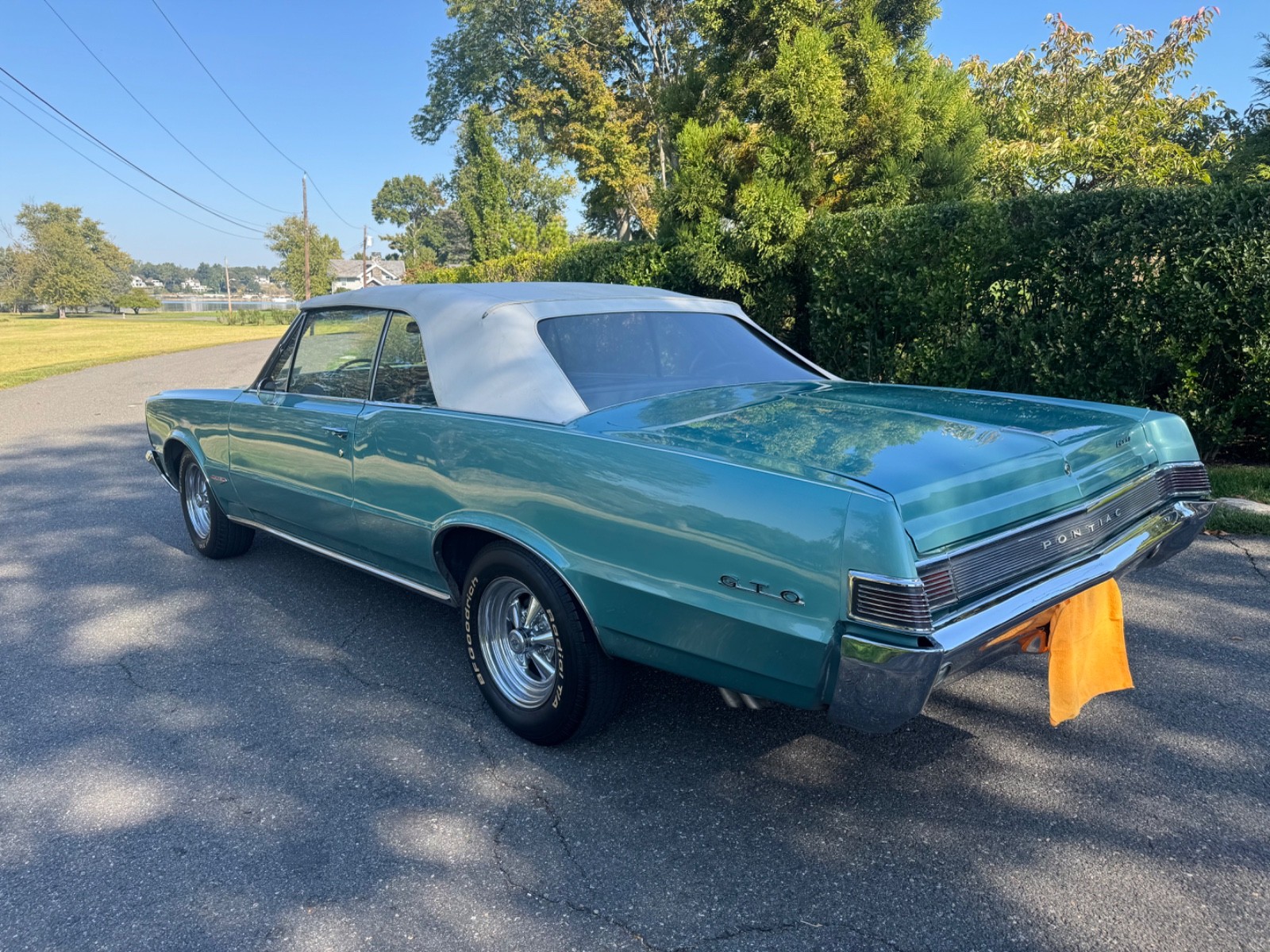 Pontiac-GTO-1965-Convertible-5
