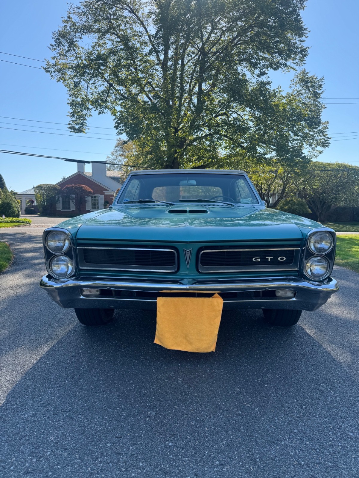 Pontiac-GTO-1965-Convertible-6