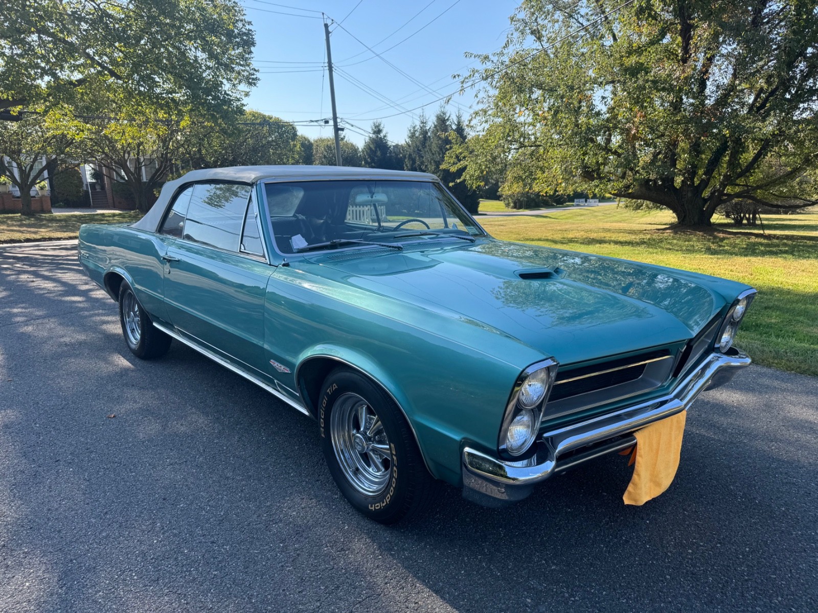 Pontiac-GTO-1965-Convertible-8